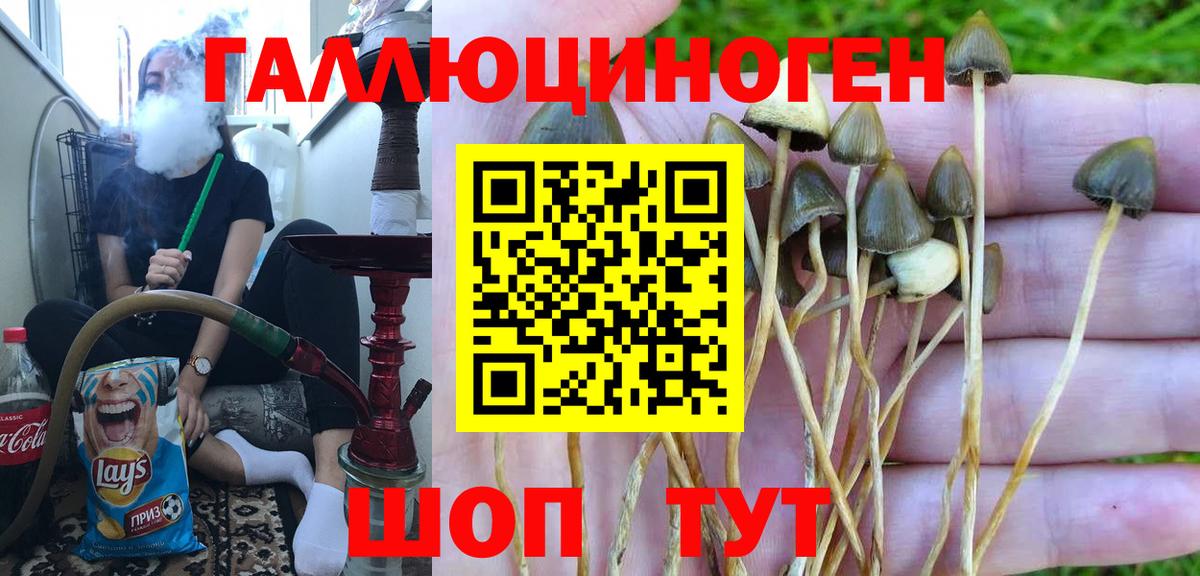 Галлюциногенные грибы ЛСД Бугуруслан