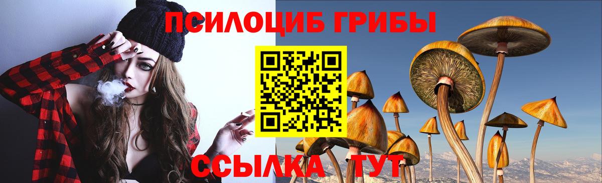 Бугуруслан  где купить наркотик  Вход с VPN  Псилоцибиновые грибы Magic Shrooms  Псилоцибиновые грибы прущие грибы 